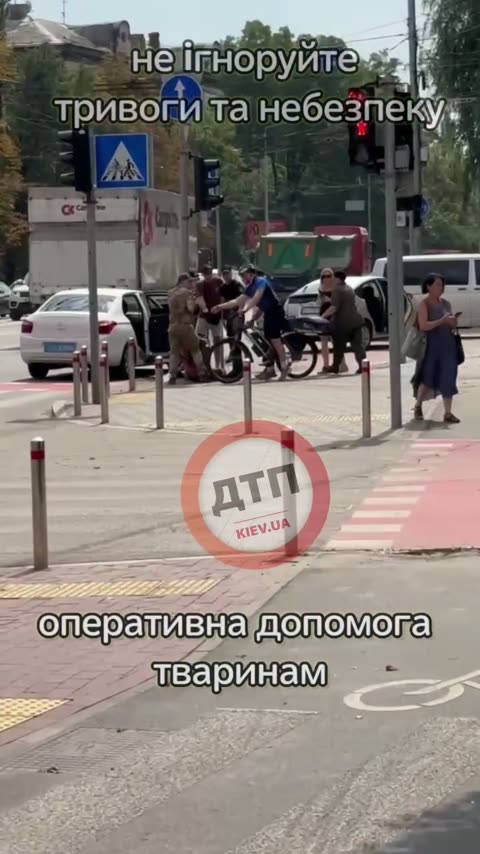 Кадр із відео до справи 56