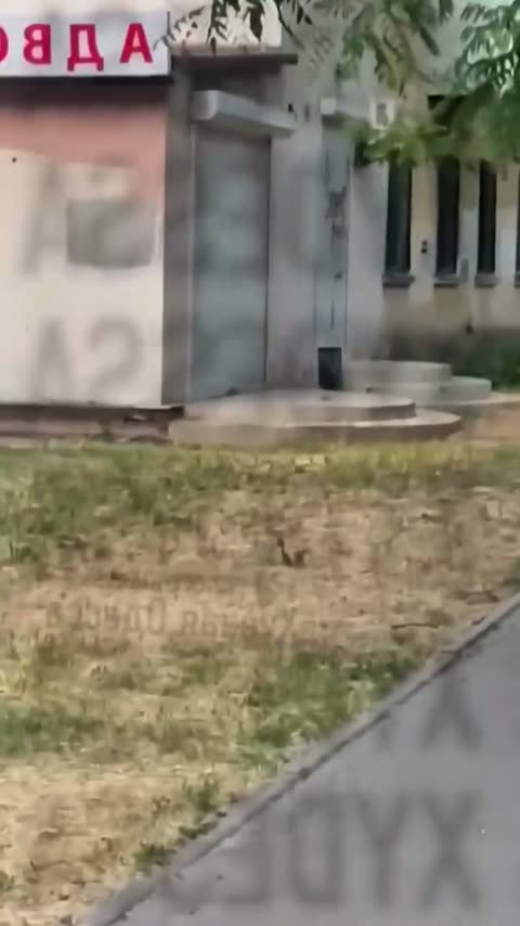 Кадр із відео до справи 32